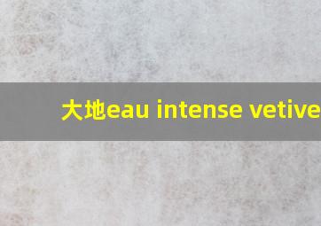 大地eau intense vetiver